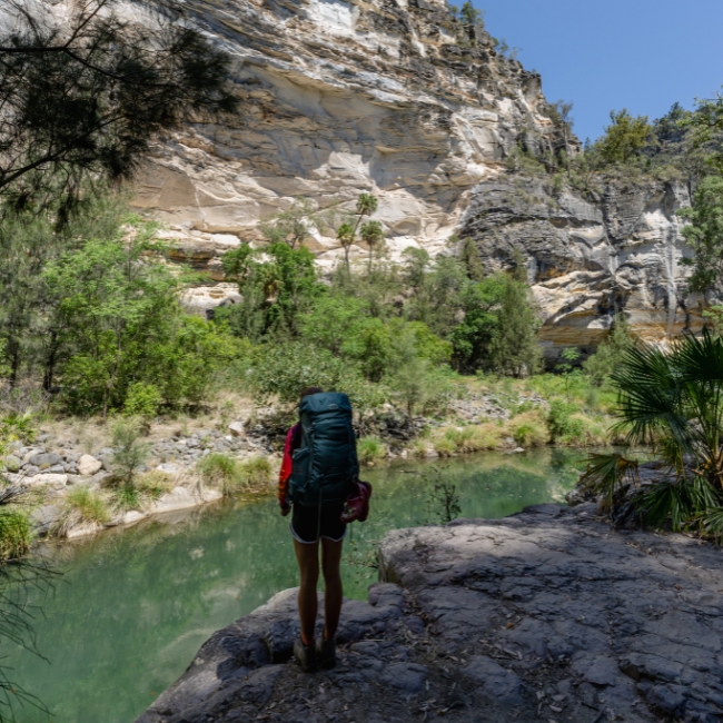 Carnarvon Gorge