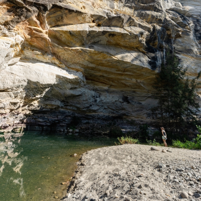 Carnarvon Gorge