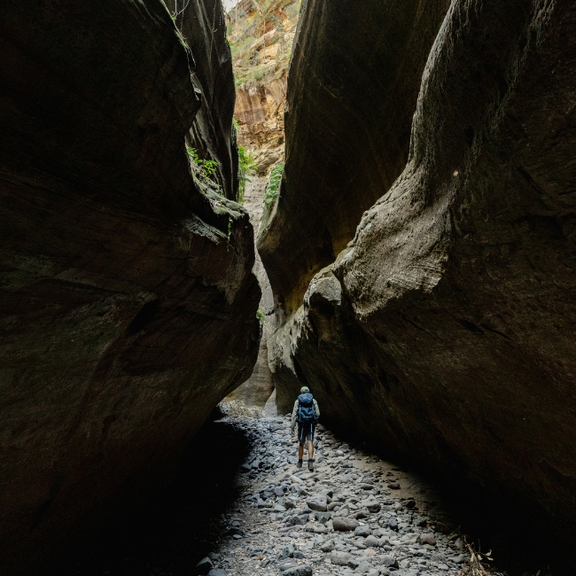 Carnarvon Gorge